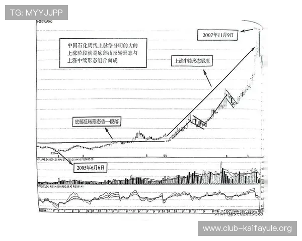 凯发体育娱乐如何提升您的投注技巧实现盈利最大化的实用策略与操作指南
